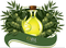 Extra Virgin Olive Oil